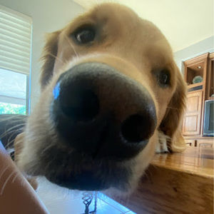 Meet your Posher, Chloe